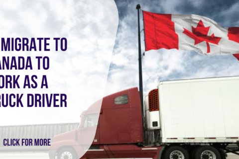 Immigrate to Canada to Work as a Truck Driver