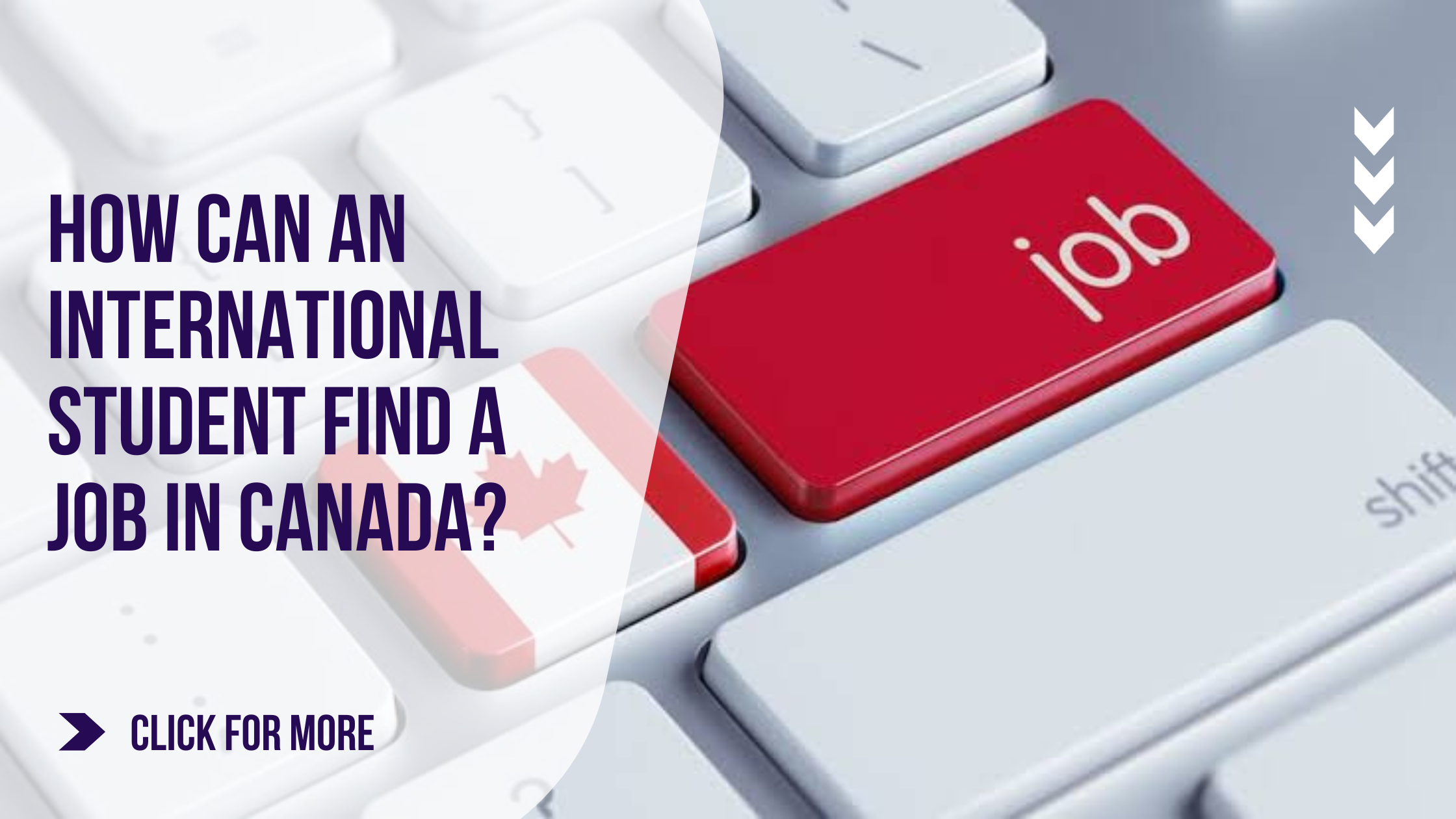 How Can An International Student Find a Job in Canada?