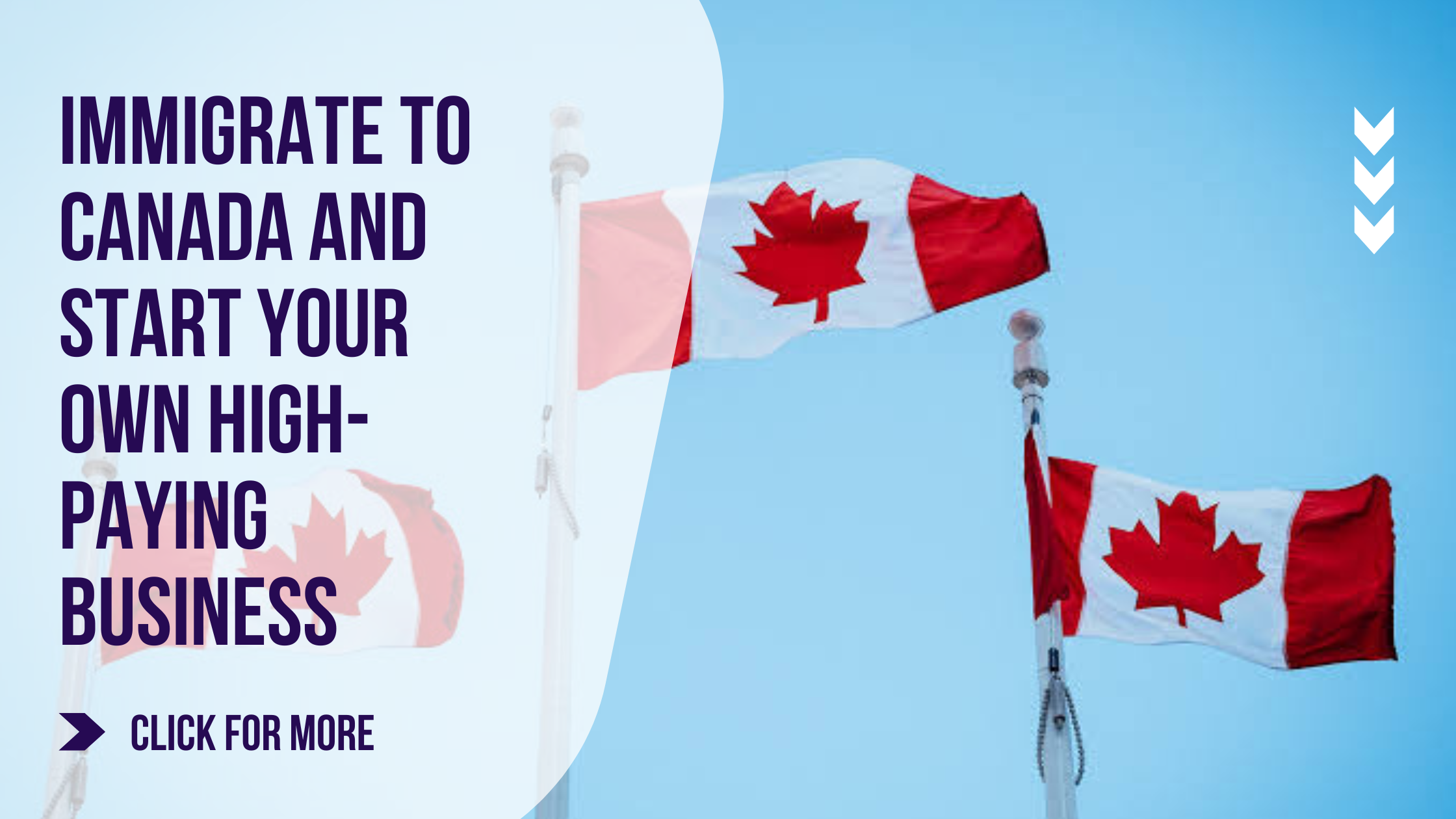 How to Immigrate to Canada and Start Your Own High-Paying Business